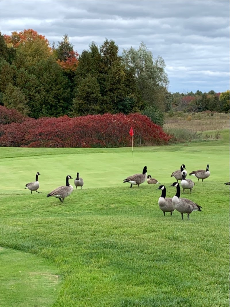 Photo of Oshawa Airport Golf Club