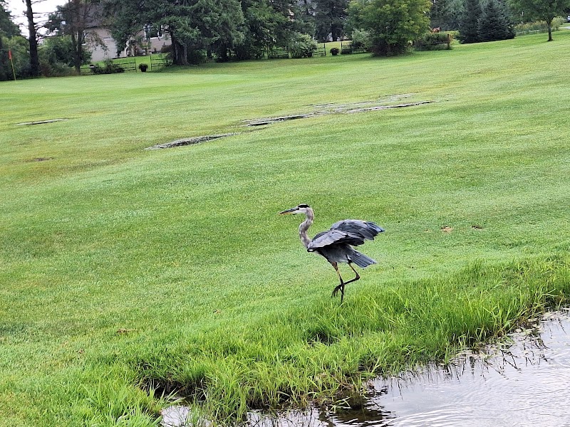 Photo of Bearbrook Golf Club and Swing Restaurant