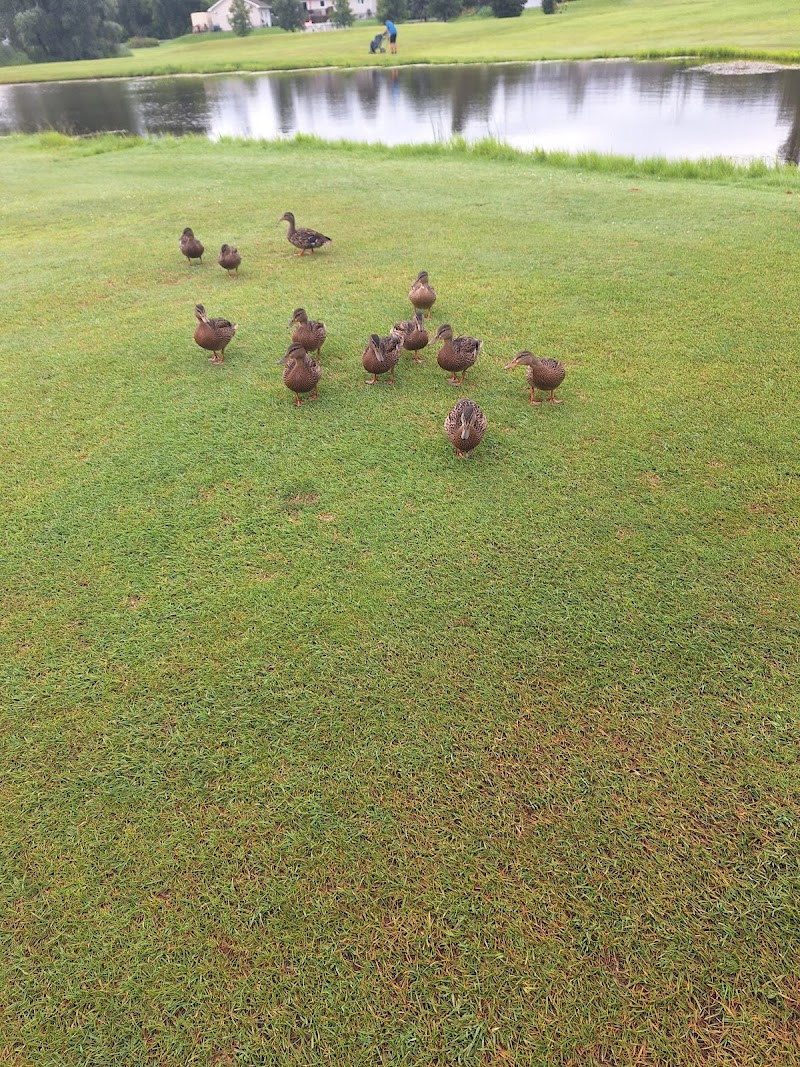 Photo of Bearbrook Golf Club and Swing Restaurant