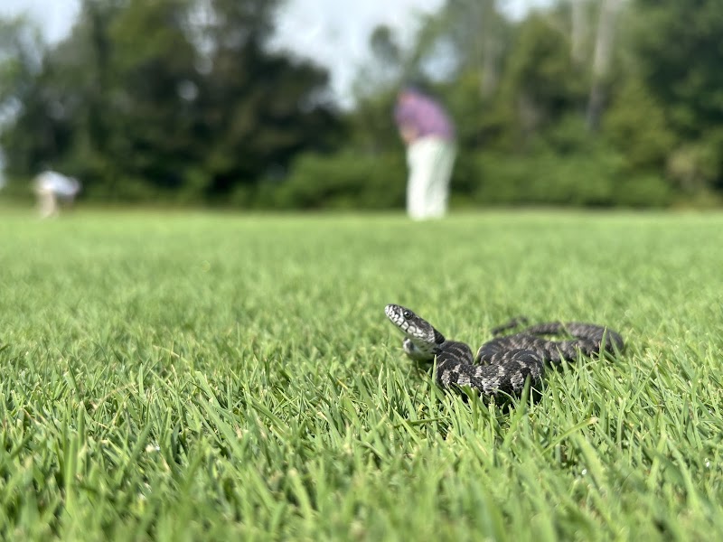 Photo of Greene Acre Golf Club