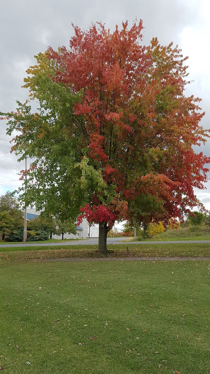 Photo of Morrisburg Golf Club
