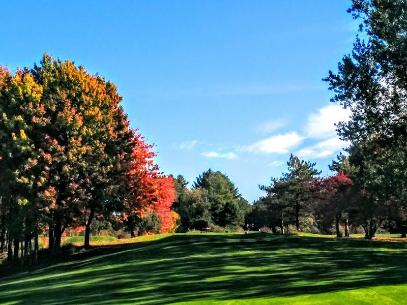 Photo of Hawkesbury Golf