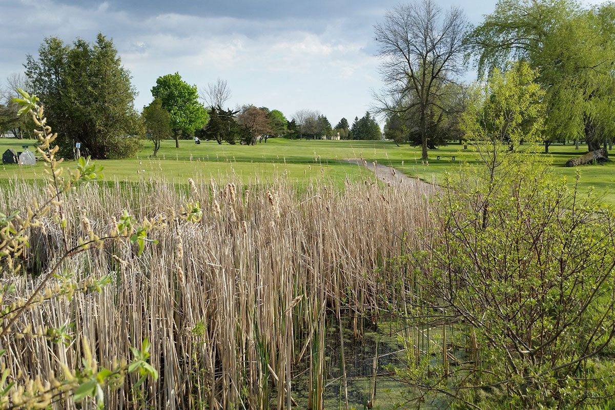 Photo of Maple Ridge Golf Club