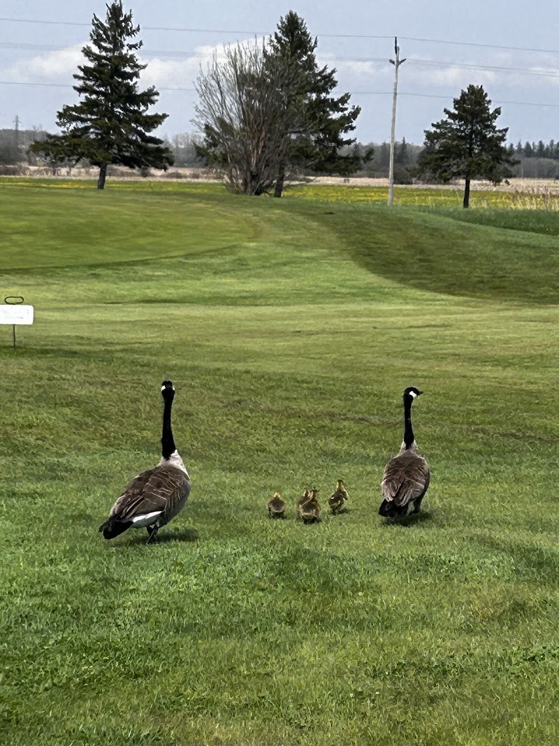 Photo of Westminster Trails Golf Course