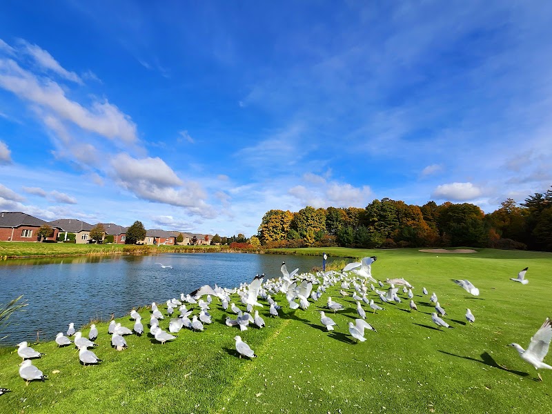 Photo of Ballantrae Golf Club