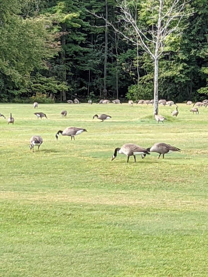 Photo of Lakeview House Golf Course