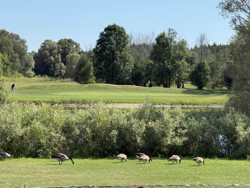 Photo of Quarry Lion Golf Resort