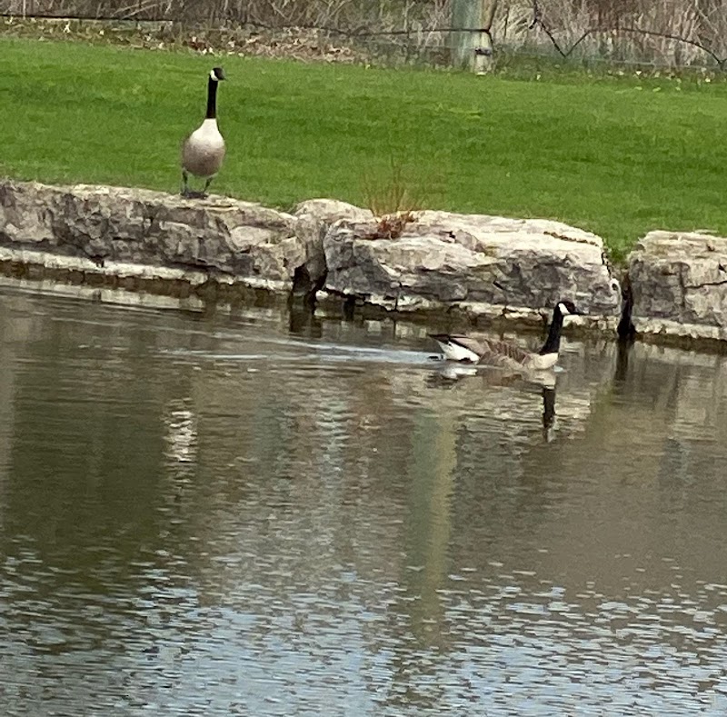 Photo of Garden City Golf Course