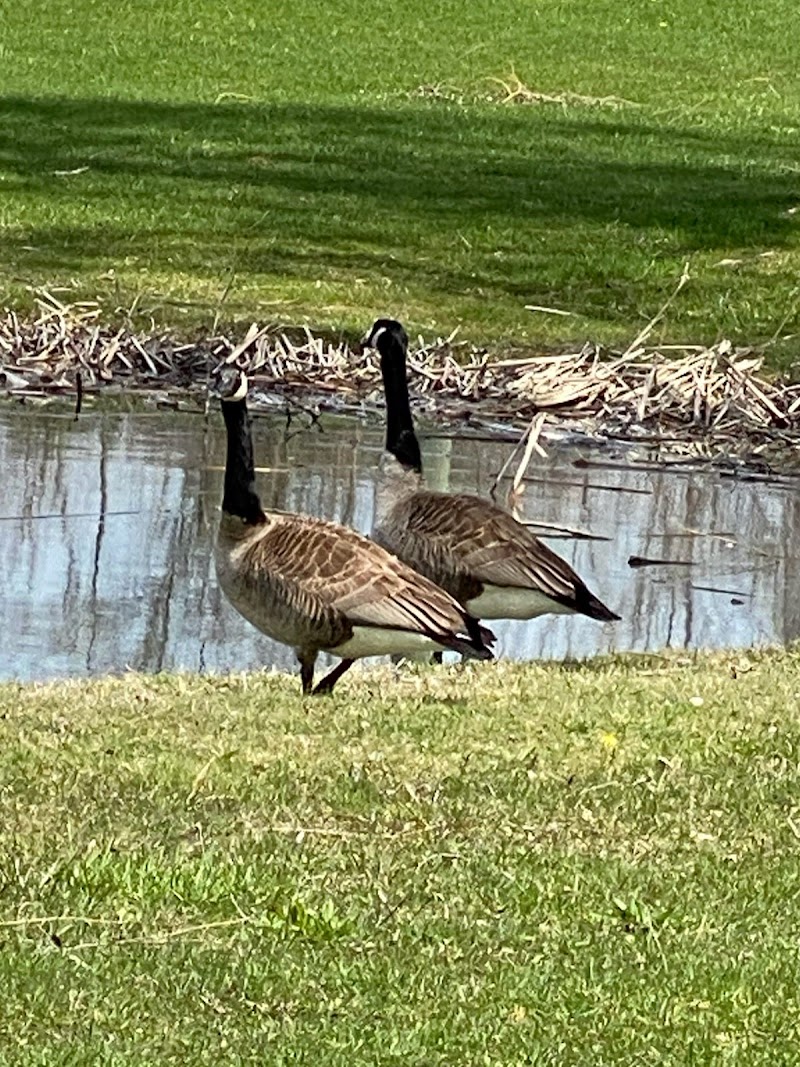 Photo of Garden City Golf Course