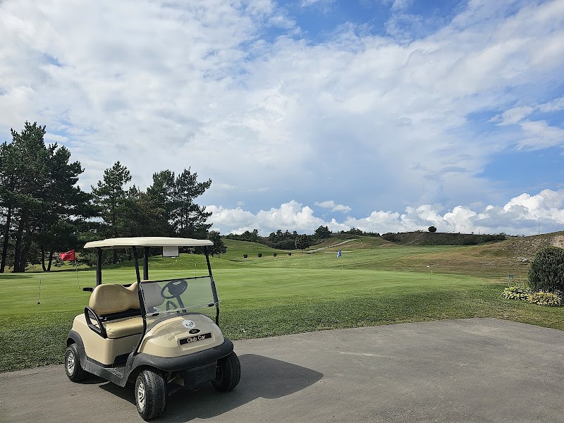 Photo of Golfer's Dream