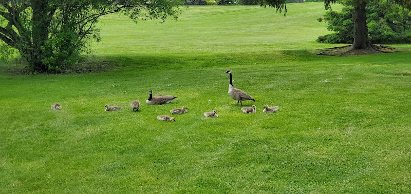 Photo of Belmont Golf Club