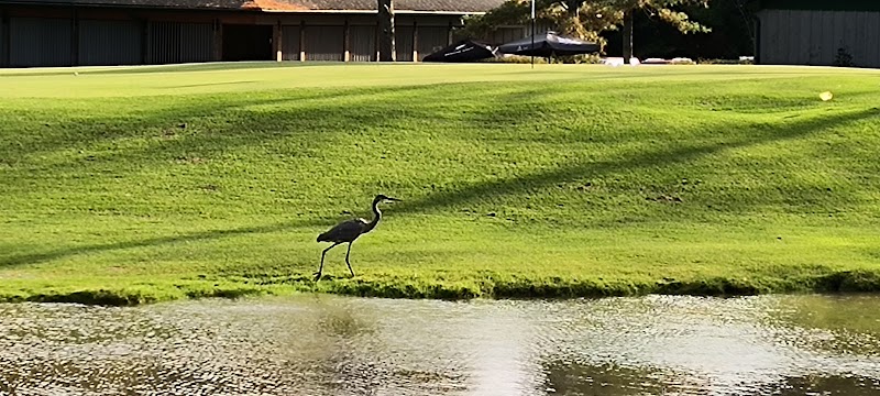 Photo of Freedom Oaks Golf Club