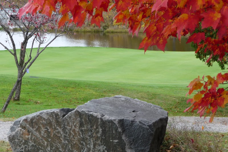 Photo of Lively Golf Club