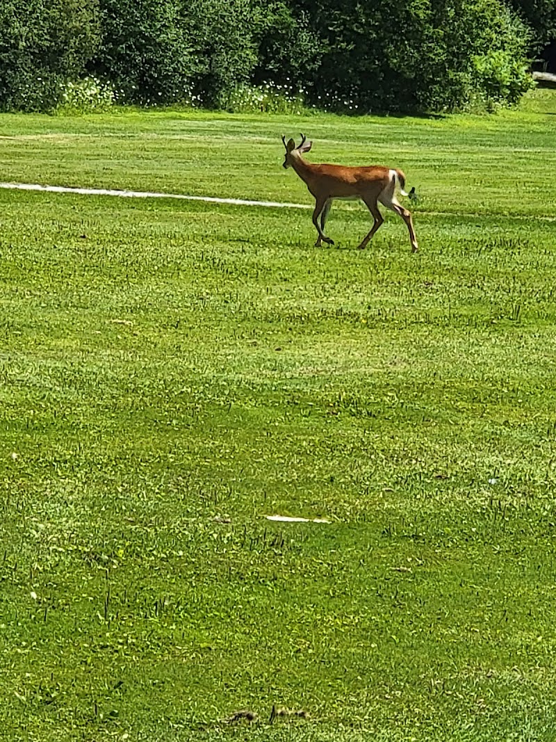 Photo of Les Vieux-Moulins Golf Club