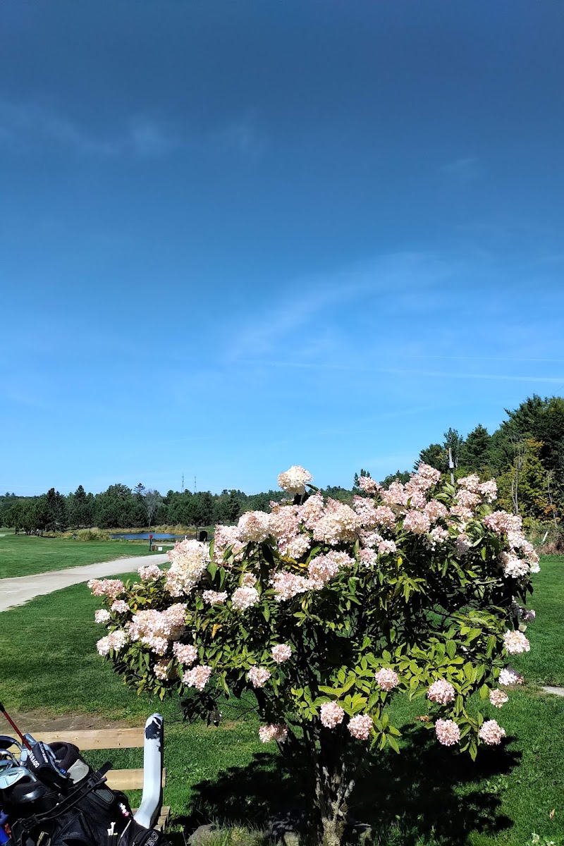 Photo of Thurso Golf Club