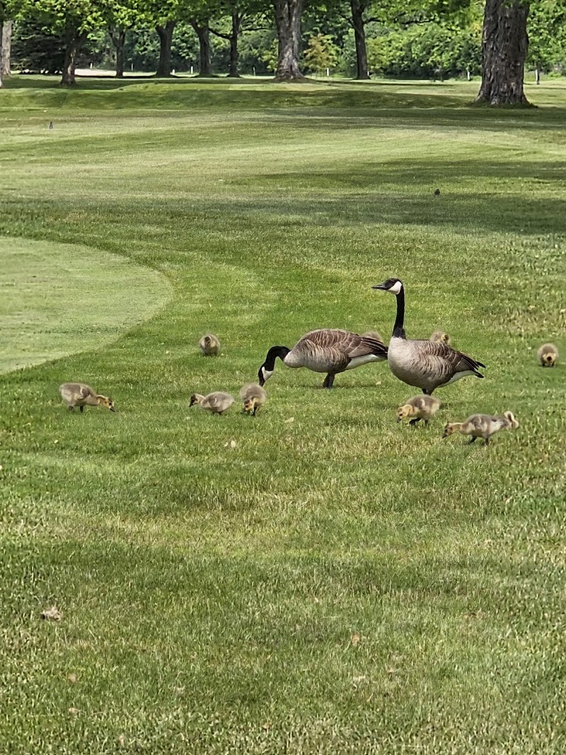 Photo of Bridgewater Country Club