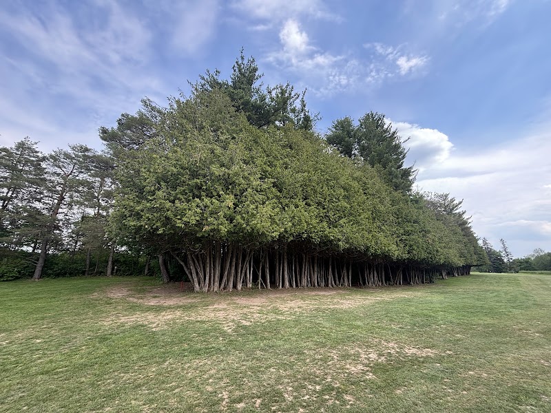 Photo of Orangeville Golf Club