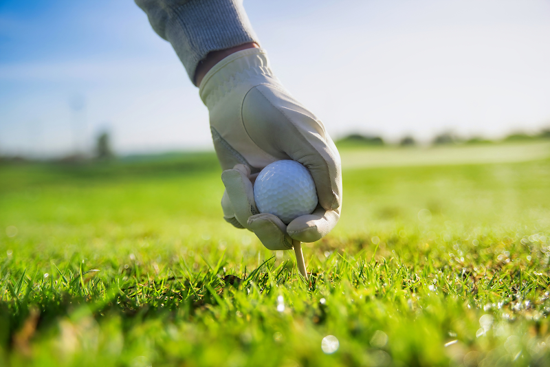 Photo of Terrace Golf