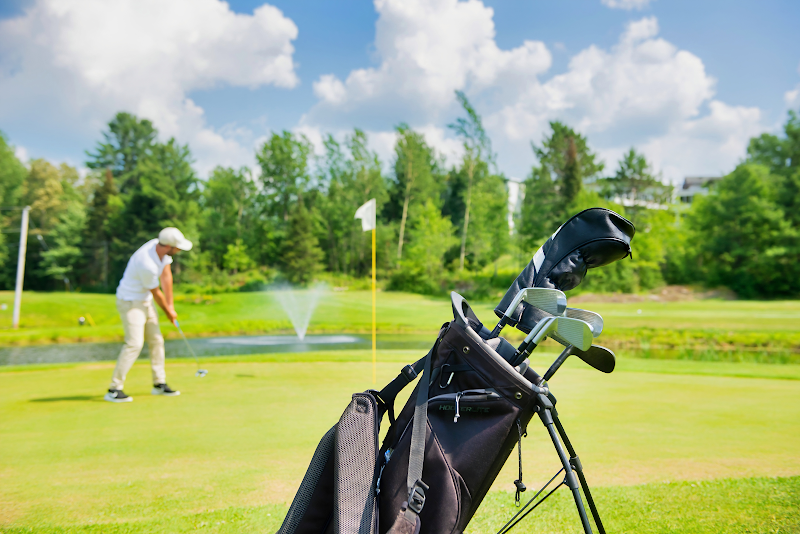 Photo of Terrace Golf