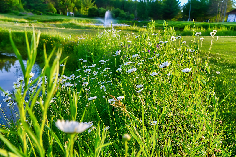 Photo of Terrace Golf