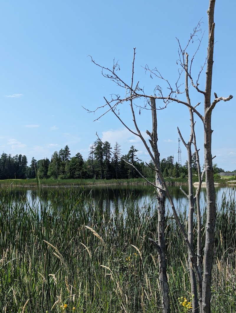 Photo of Hollinger Golf Club