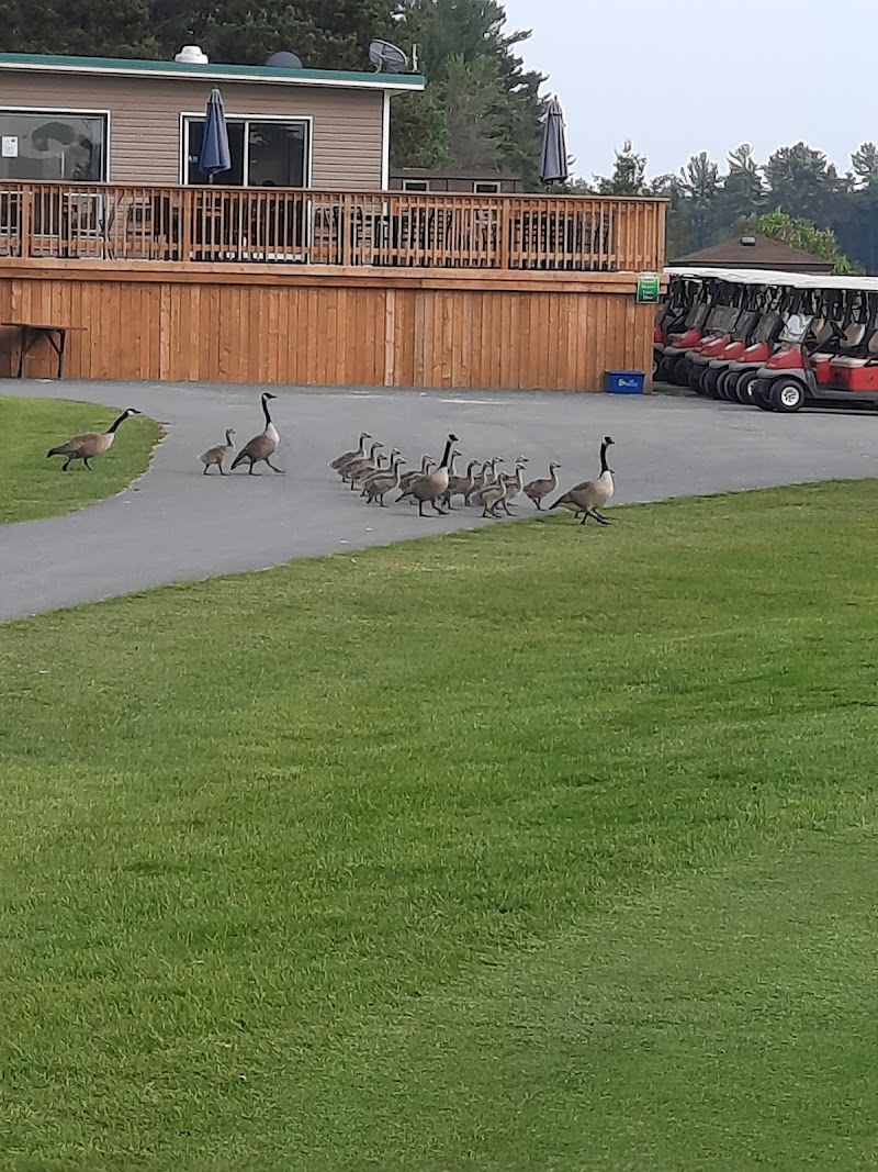 Photo of Huron Pines Golf & Country Club