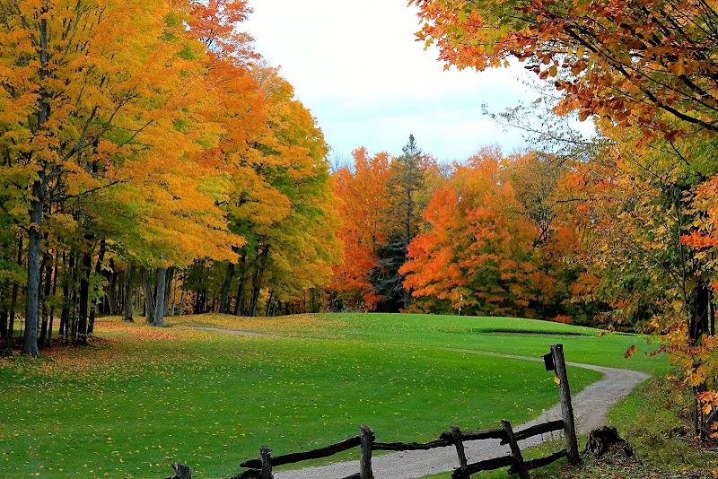 Photo of Manitoulin Golf