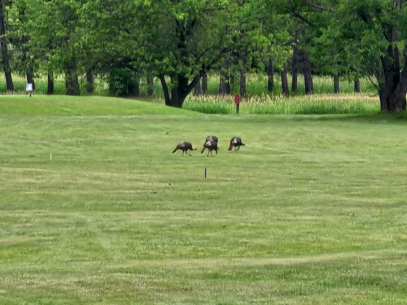 Photo of Roanoke Golf Club