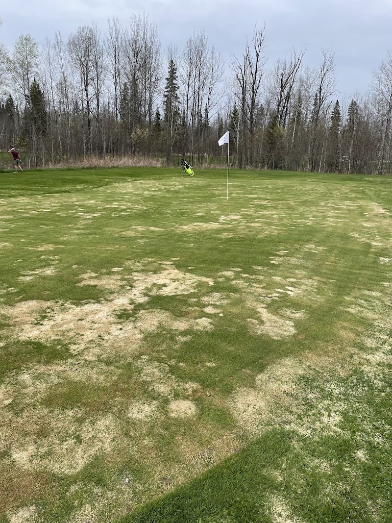 Photo of Sandy Falls Golf Course