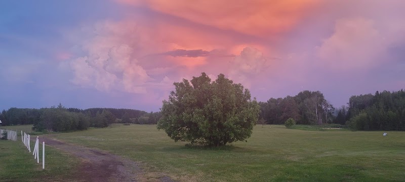 Photo of St Urho's Golf Course & Driving Range
