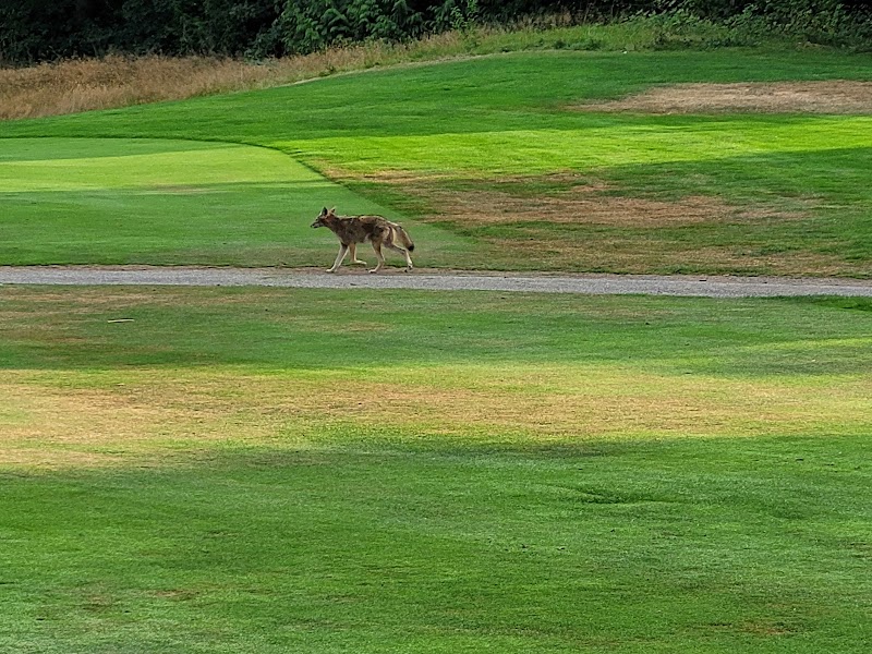 Photo of Fraserview Golf Course