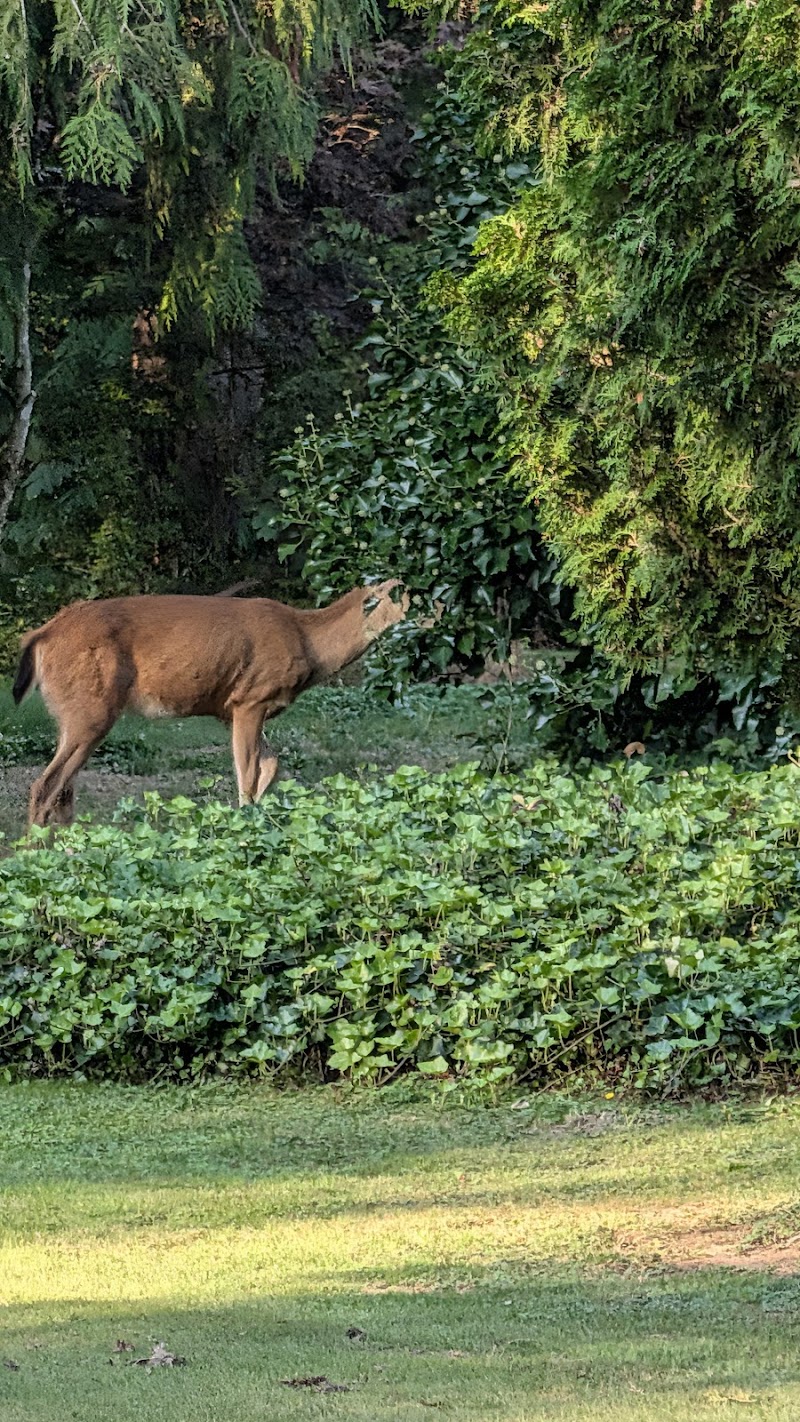 Photo of Hacker's Haven Par 3