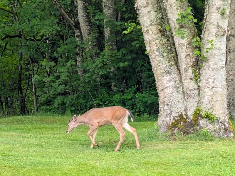 Photo of Ledgeview Golf Club