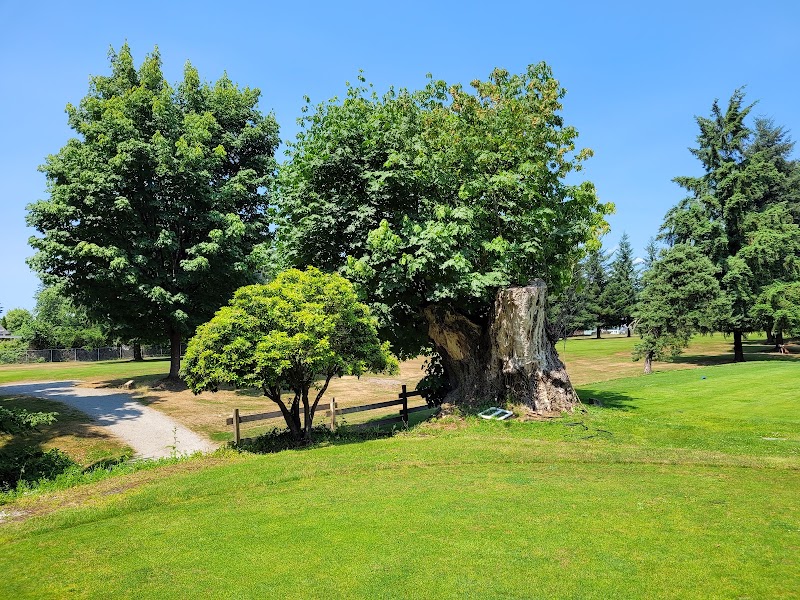 Photo of Maple Ridge Golf Course