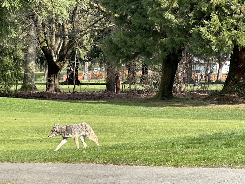 Photo of McCleery Golf Course