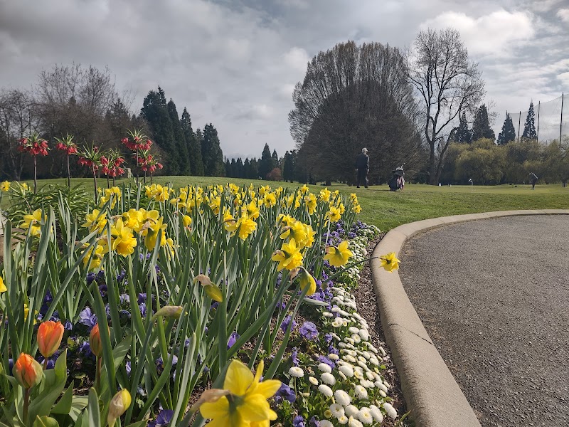 Photo of McCleery Golf Course