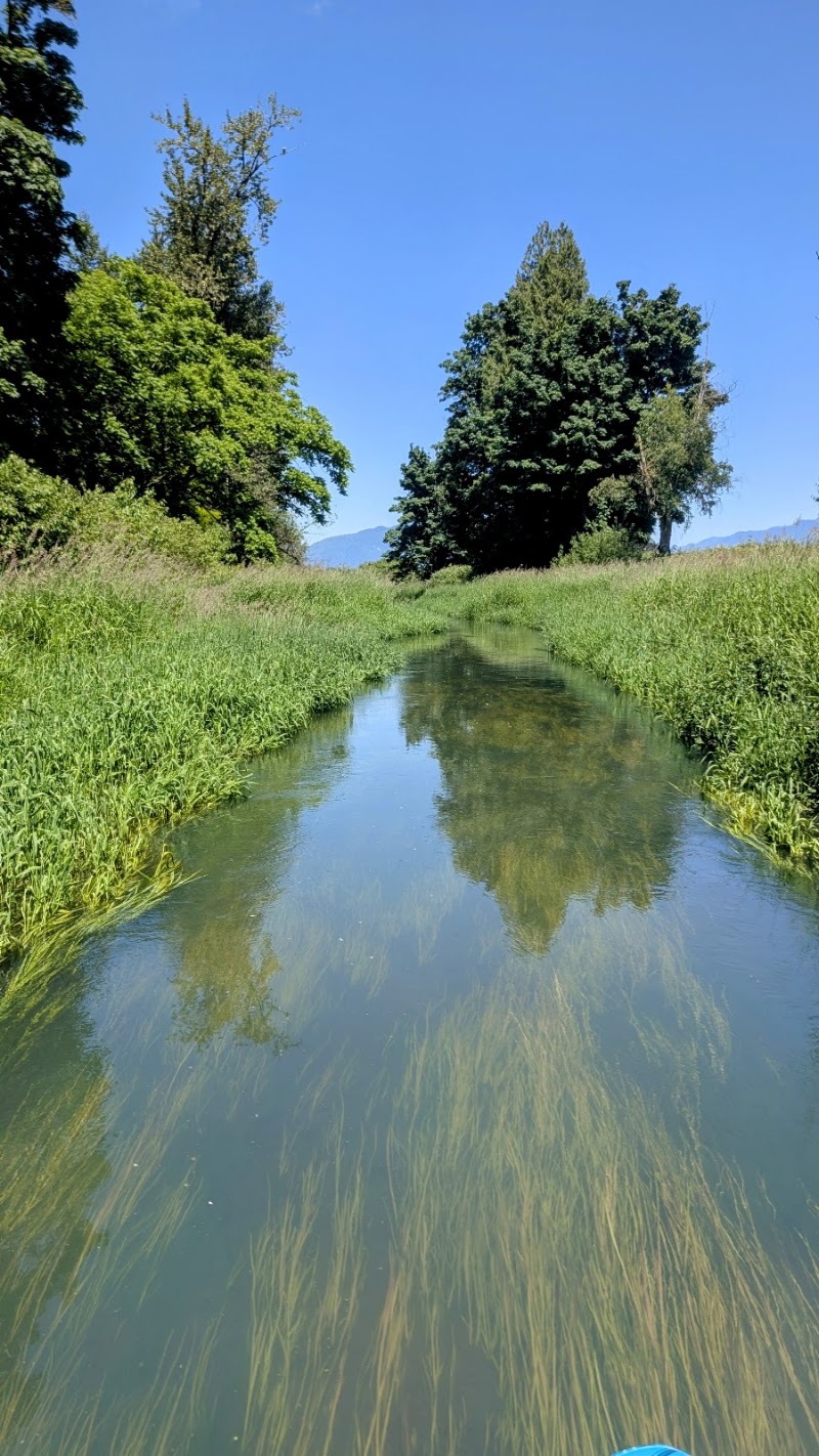 Photo of Meadowlands Golf and Country Club