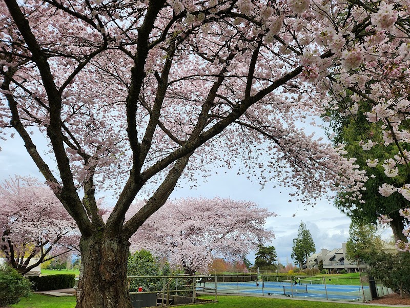 Photo of Nico-Wynd Golf Course