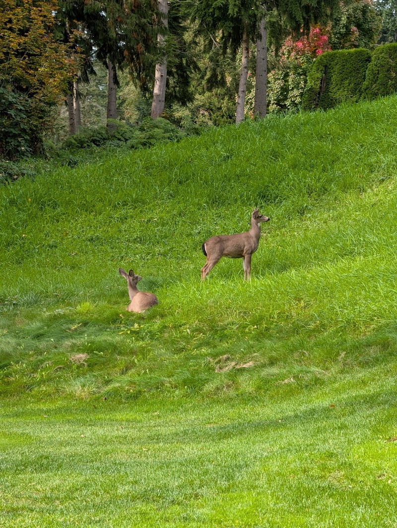 Photo of Northlands Golf Course