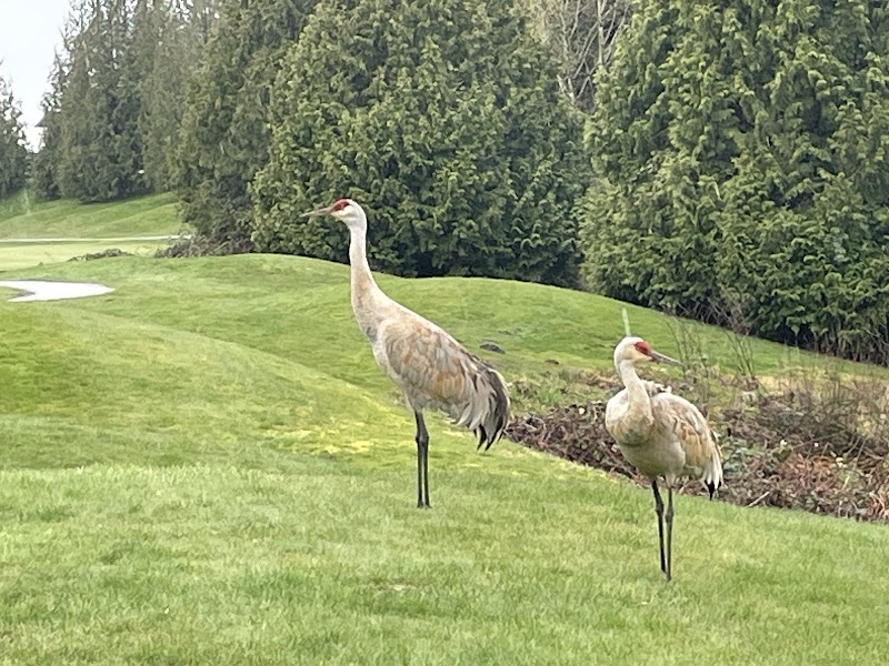 Photo of Riverway Golf Course & Driving Range