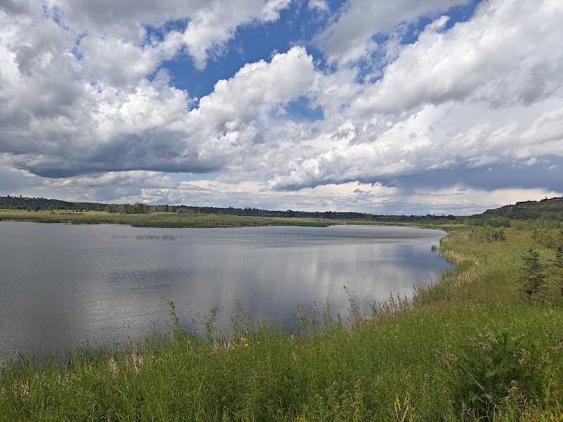 Photo of Blue Devil Golf Club