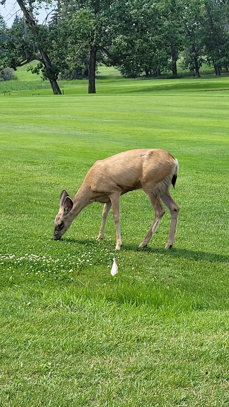 Photo of Camrose Golf Course