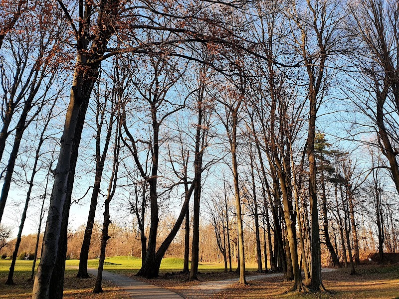 Photo of Burlington Springs Golf & Country Club