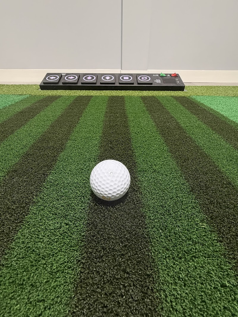 Photo of MapleSwing Indoor Golf