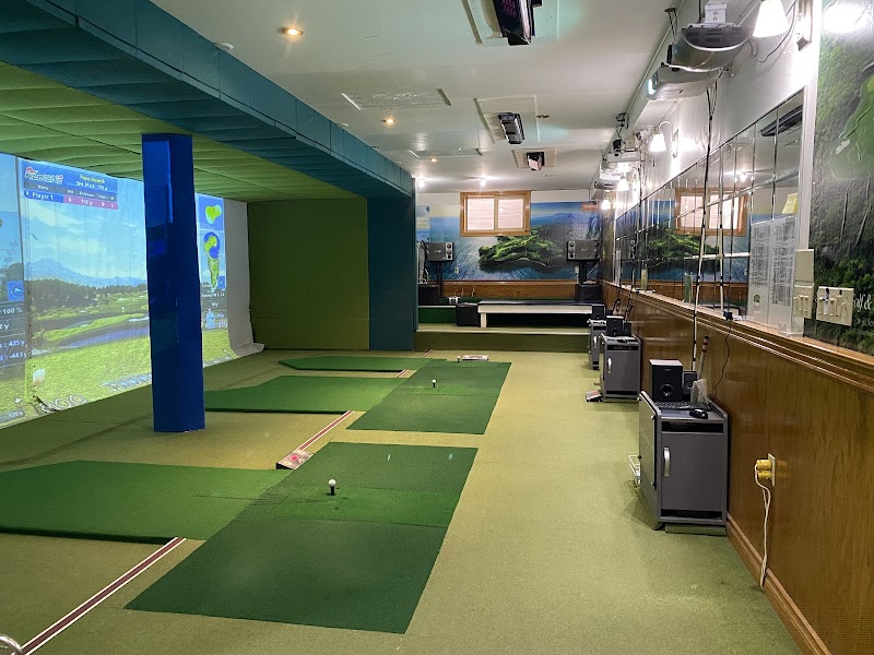 Photo of Par On Screen Golf