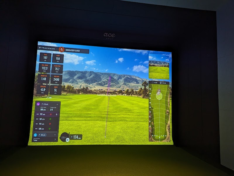 Photo of Ace Golf Bar & Lounge
