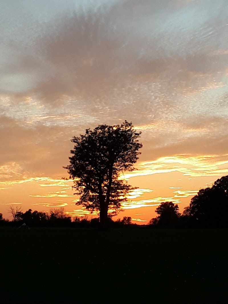 Photo of Northfield Golf Centre