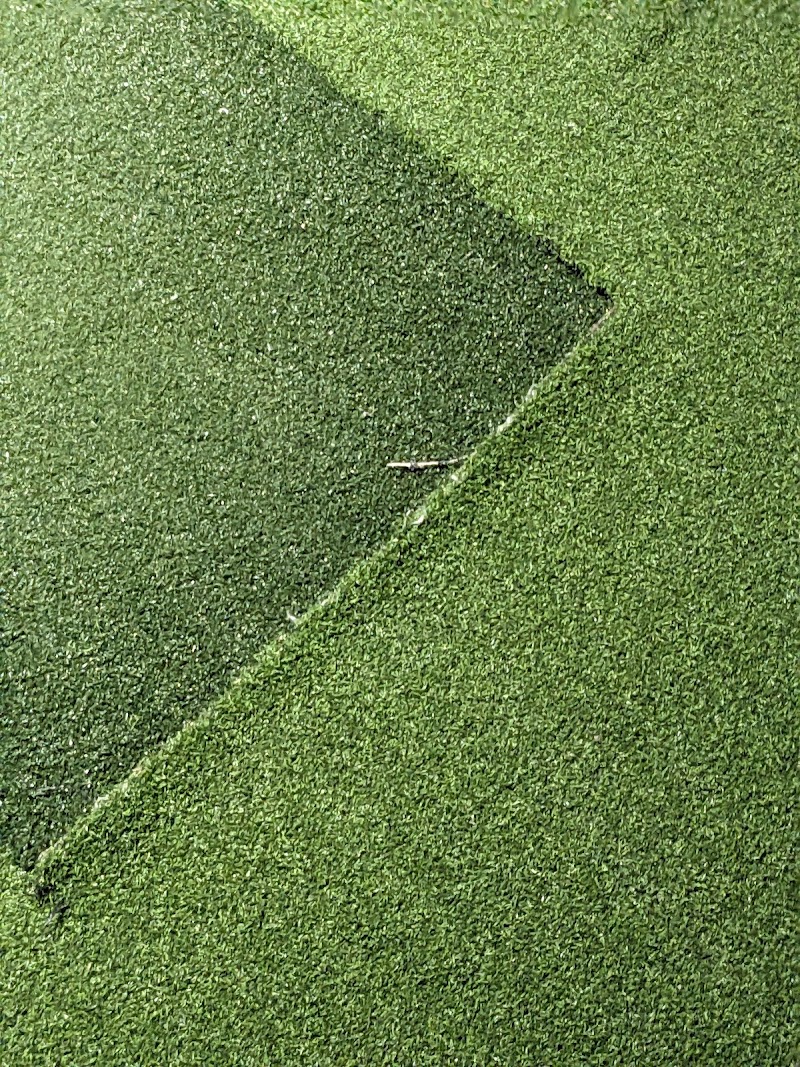 Photo of FORE! - Toronto