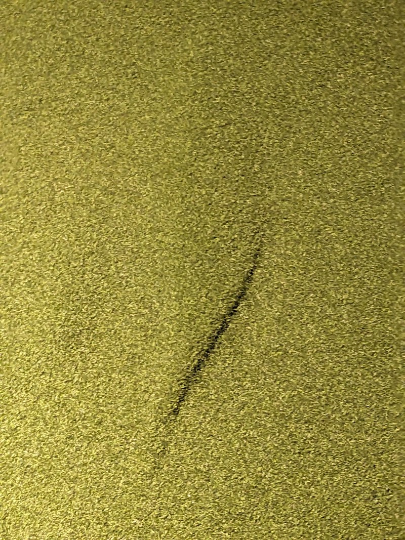 Photo of FORE! - Toronto