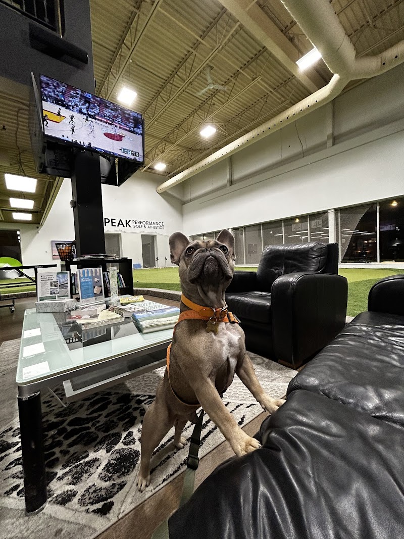 Photo of Peak Performance Golf & Athletics